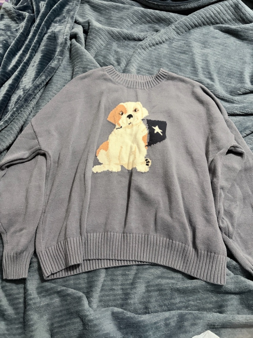Hollister Light Gray Knit Sweater with Puppy Graphic
